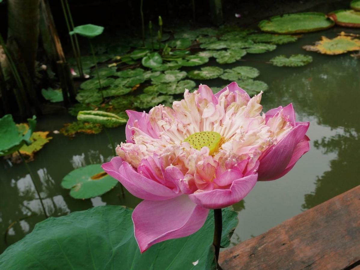 Gajib Bed&Breakfast Amphawa Dış mekan fotoğraf